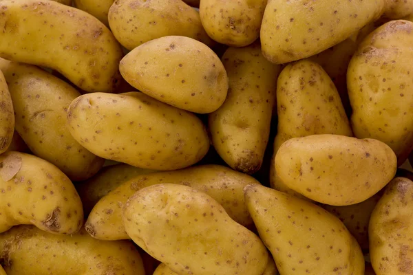 Fingerling Potatoes — Stock Photo, Image