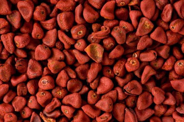 Kırmızı Annatto tohumlar (Bixa orellana) — Stok fotoğraf