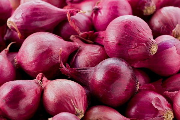Red Pearl Onions — Stock Photo, Image