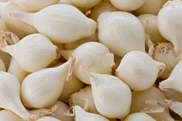 Cebollas perlas blancas Fotos De Stock