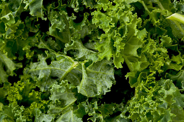 Kale Greens