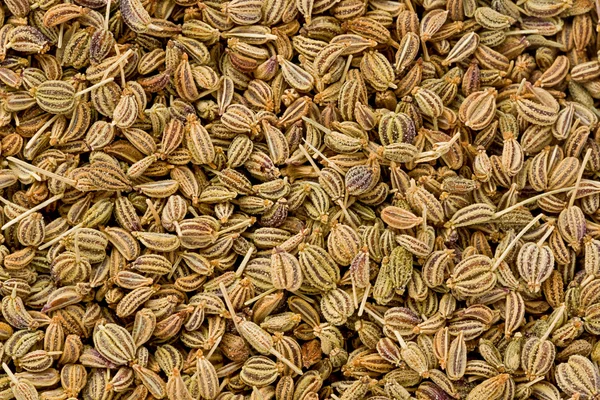 Ajwain Seeds (Trachyspermum ammi) — Stock Photo, Image