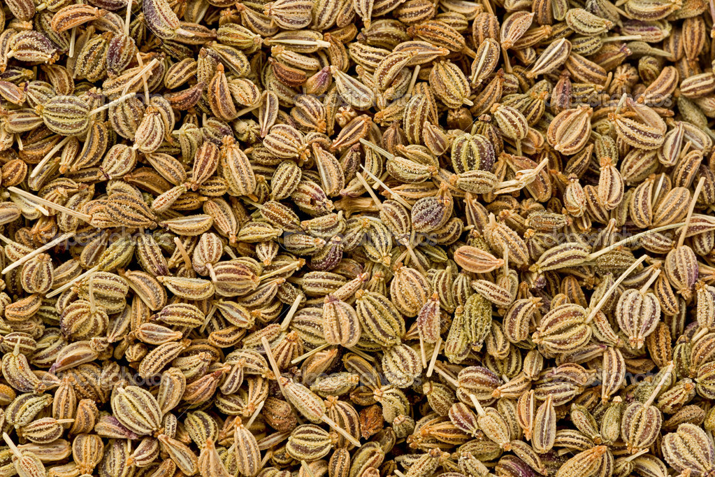 Ajwain Seeds (Trachyspermum ammi) Stock Photo by ©raptorcaptor 41958607