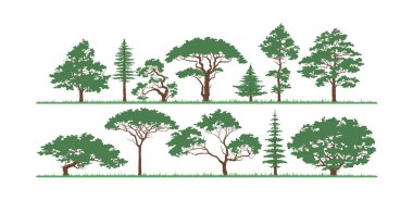 Tarzlı orman geçmişi, doğa, manzara. Evergreen kozalaklı ağaçlar. Çam, çam, ağaç. Siluet vektörü