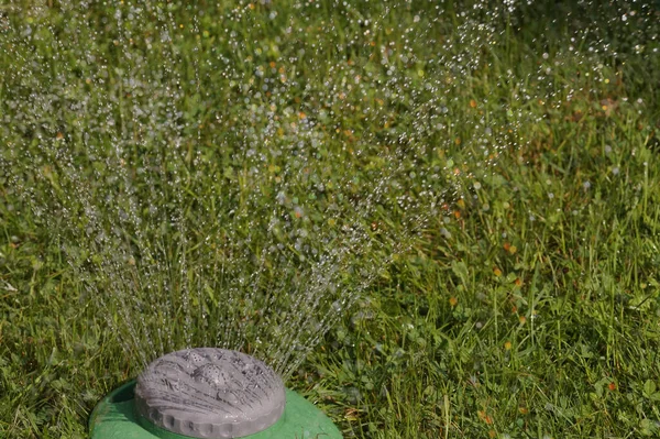 Abendliche Rasenbewässerung Ein Einfacher Und Multifunktionaler Gartenregner — Stockfoto