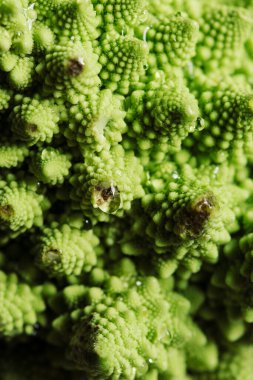 Romanesk brokoli makrosu - güzel desenler. Alan derinliğini daralt