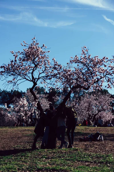 Мадрид Испания Февраля 2022 Года Семьи Отдыхают Миндальными Деревьями Цветами — стоковое фото