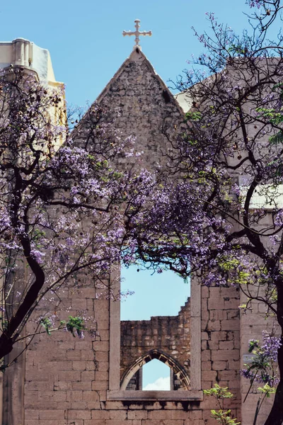 Violette Jacaranda Vor Der Carmo Kirche Lissabon Portugal — Stockfoto