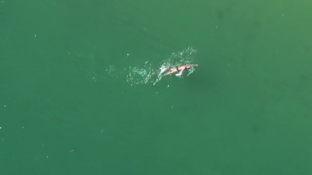 Aerial Drone Top View Unidentifiable Male Swimmer Open Ocean Water — 图库视频影像