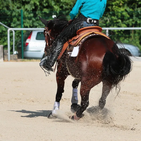 Západní Kůň Jezdcem Cválá Dlouhou Otěží — Stock fotografie