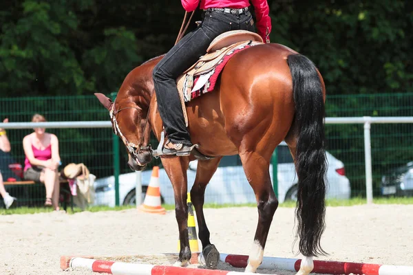 Western horse with rider galloping with a long rein.