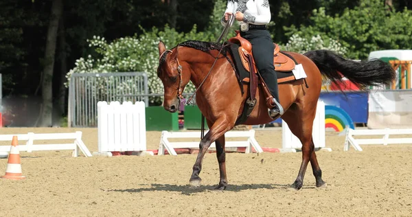 Western Horse Rider Galloping Long Rein — стокове фото