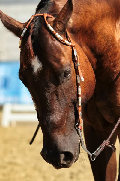 Western Horse Rider Galloping Long Rein — Stock Photo, Image