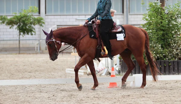 Caballo Occidental Con Jinete Galopando Con Una Larga Rienda —  Fotos de Stock