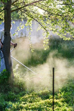 Adam çim biçiyor, kesiyor, fazla büyümüş bir bahçede çim biçiyor bahçe biçme makinesi ya da moto-tırpan kesiyor. Bahçe temizliği, bahçe temizliği. Umurumuzda değil....