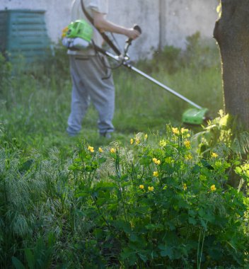 Adam çim biçiyor, kesiyor, fazla büyümüş bir bahçede çim biçiyor bahçe biçme makinesi ya da moto-tırpan kesiyor. Bahçe temizliği, bahçe temizliği. Umurumuzda değil....