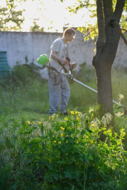 Adam çim biçiyor, kesiyor, fazla büyümüş bir bahçede çim biçiyor bahçe biçme makinesi ya da moto-tırpan kesiyor. Bahçe temizliği, bahçe temizliği. Umurumuzda değil....