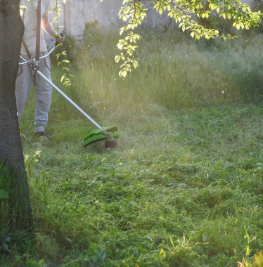Adam çim biçiyor, kesiyor, fazla büyümüş bir bahçede çim biçiyor bahçe biçme makinesi ya da moto-tırpan kesiyor. Bahçe temizliği, bahçe temizliği. Umurumuzda değil....