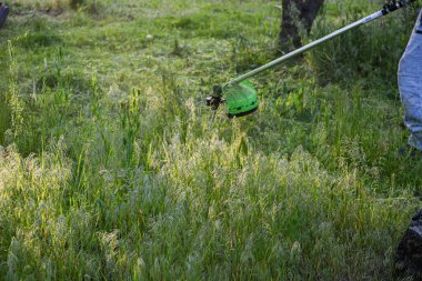 Adam çim biçiyor, kesiyor, fazla büyümüş bir bahçede çim biçiyor bahçe biçme makinesi ya da moto-tırpan kesiyor. Bahçe temizliği, bahçe temizliği. Umurumuzda değil....
