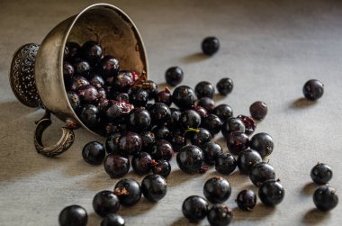 Üzerinde kuşüzümü olan gümüş bir bardak..