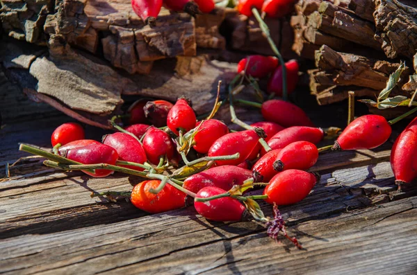 Bahçedeki Eski Tahtalarda Gül Kalçalar Rosehip Koleksiyonu — Stok fotoğraf