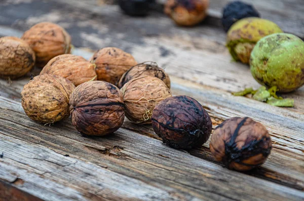 Podzimní Sklizeň Vlašských Ořechů Zahradě Leží Staré Desce — Stock fotografie