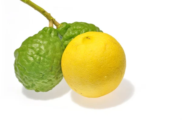 Zitrone und Kaffir-Limette — Stockfoto