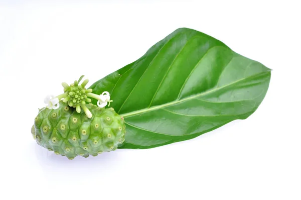 Noni Indian Mulberry — Fotografie, imagine de stoc