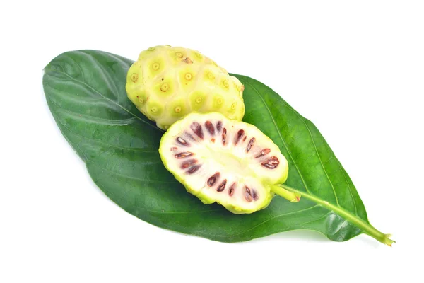 Morinda citrifolia — Stockfoto