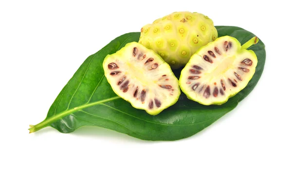 Morinda citrifolia — Stok fotoğraf