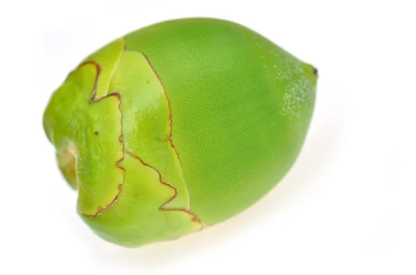 Groene kokosnoot vruchten — Stockfoto