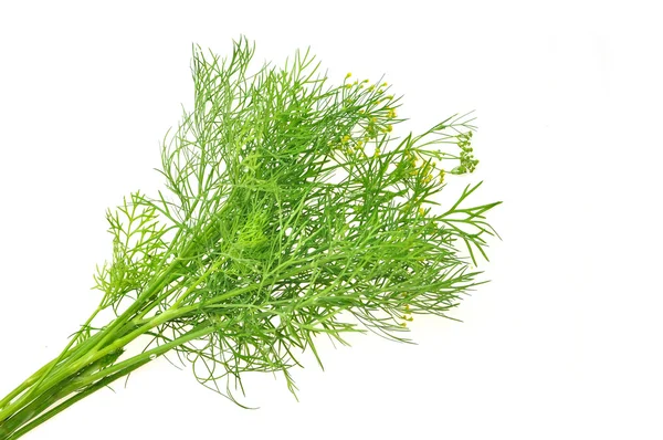 Fresh dill — Stock Photo, Image