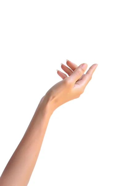 Kvinna hand — Stockfoto