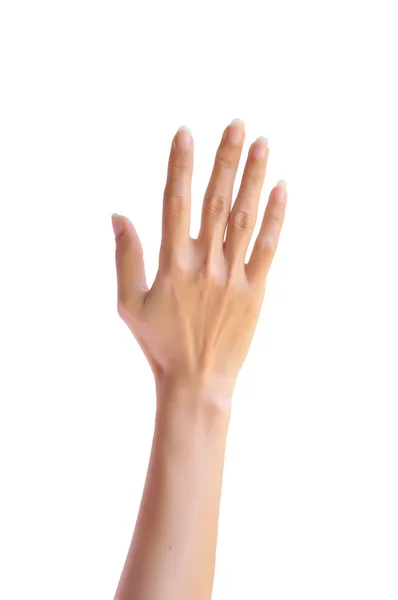 Woman hand — Stock Photo, Image