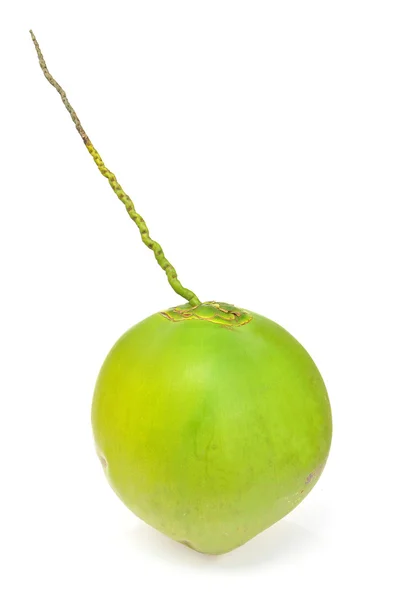 绿色的椰子果实 — 图库照片