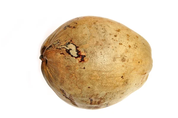 Сухий кокосового — стокове фото