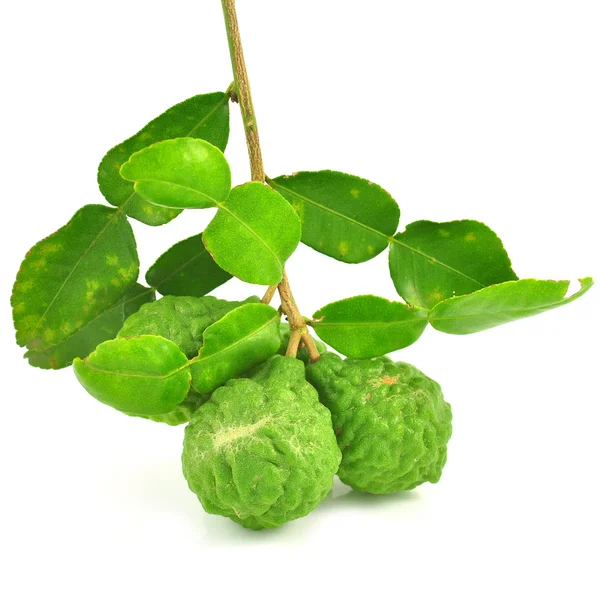 Kaffir Lime — Stock Photo, Image