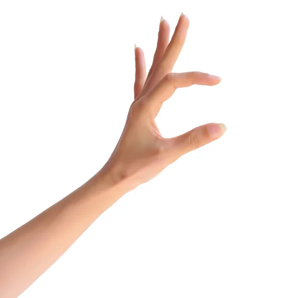 Kvinnlig hand — Stockfoto