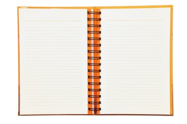 dizüstü bilgisayar