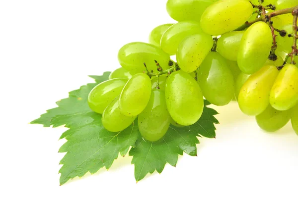 Зеленый виноград — стоковое фото