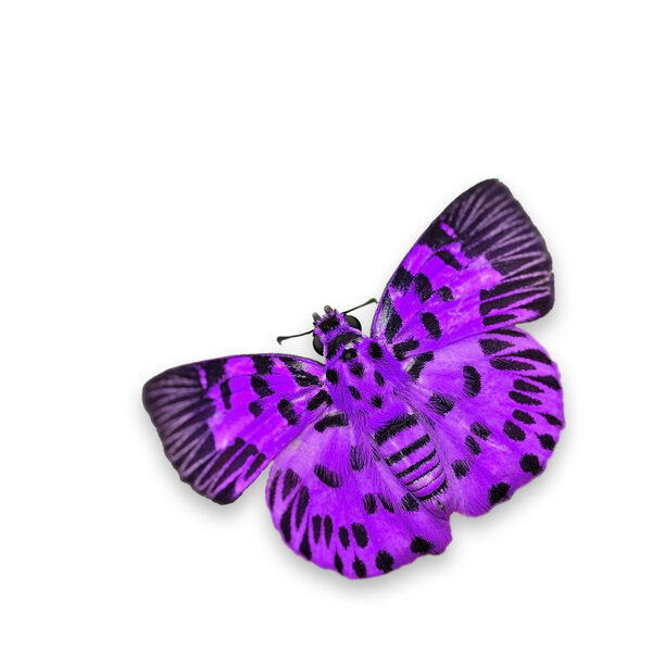 Пурпурная бабочка
