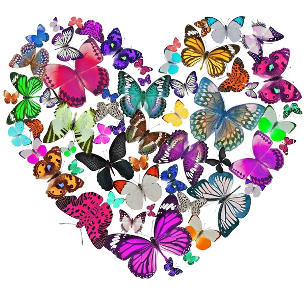 Coração das borboletas — Fotografia de Stock