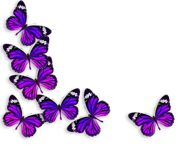 Background butterfly — Stock Photo, Image