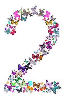 Kelebekler tarafından oluşan iki numaralı