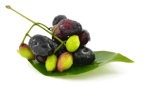Java Prum fructe — Fotografie, imagine de stoc
