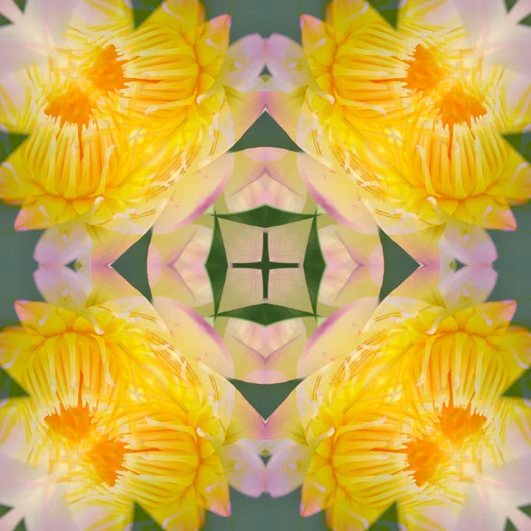 Yellow lotus flower — Stock Photo, Image