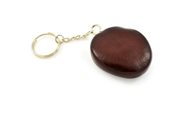 Key ring — Stock Photo, Image