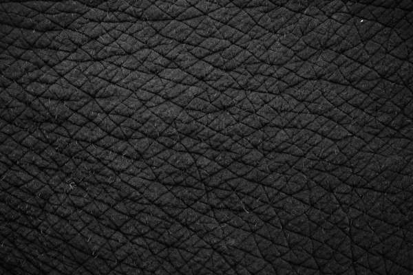 Pele Elefante Para Fundo Textura — Fotografia de Stock