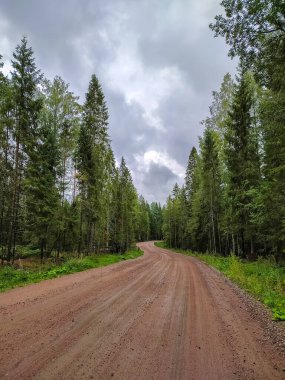 Saint-Petersburg banliyölerinde güzel çakıl yolu.