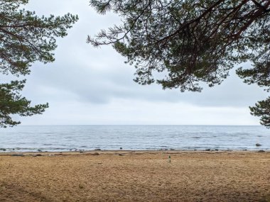 Komarovo sahilinde bulutlu bir akşam..